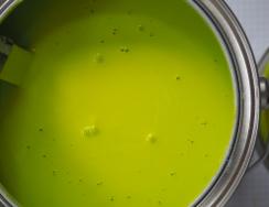 Die Farbe des Frühlings